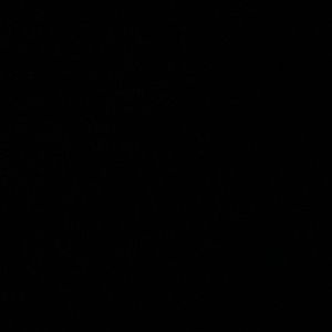 Meet your Posher, Takeenah